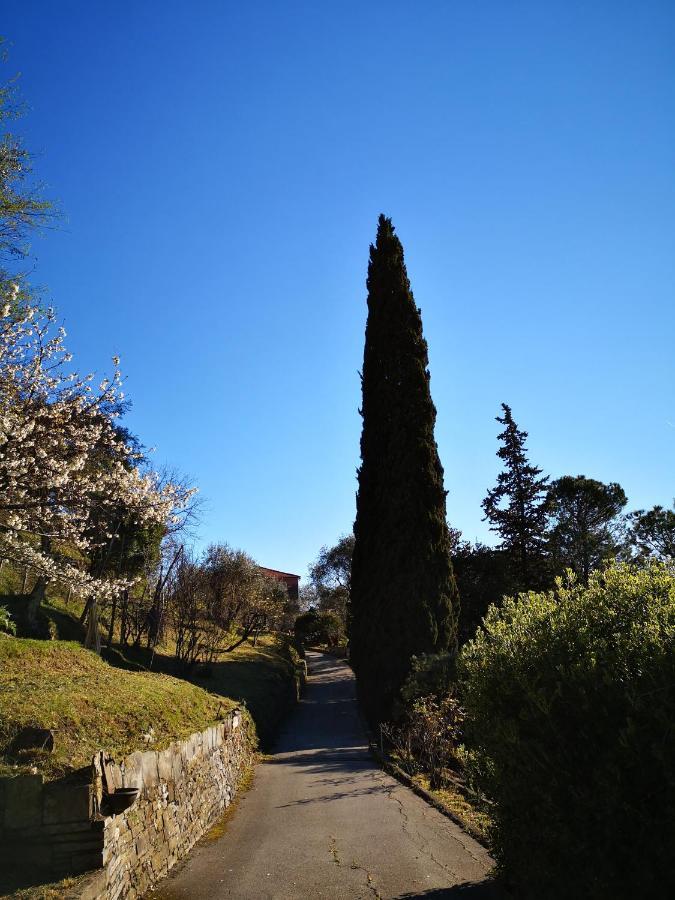 Villa La Vivagna - Casa vista mare tra gli ulivi Leivi Esterno foto