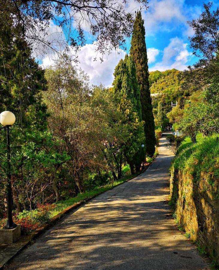 Villa La Vivagna - Casa vista mare tra gli ulivi Leivi Esterno foto